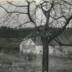 hubenov-lide 6
