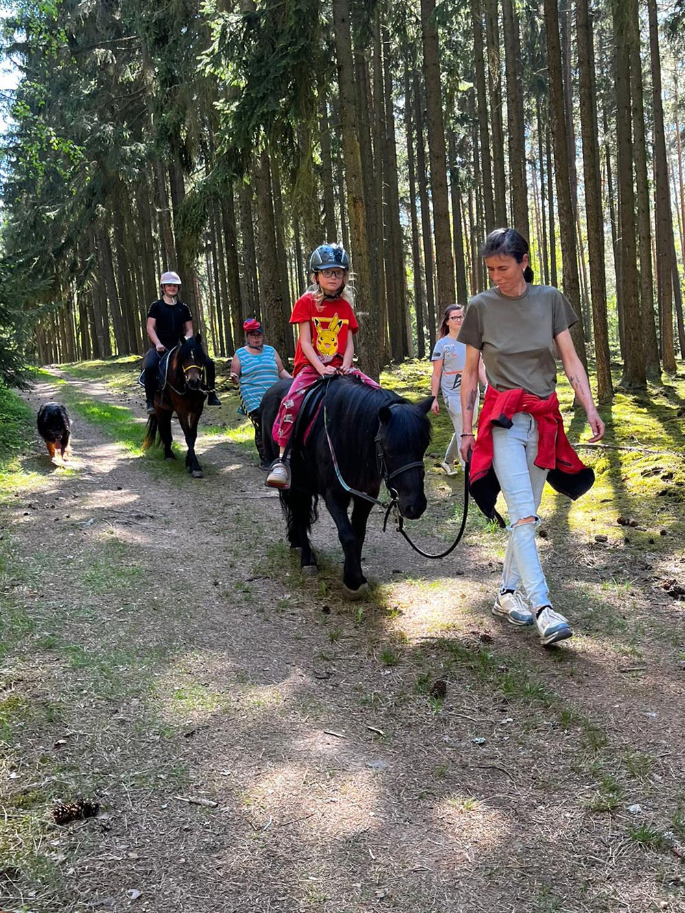 Pony 1