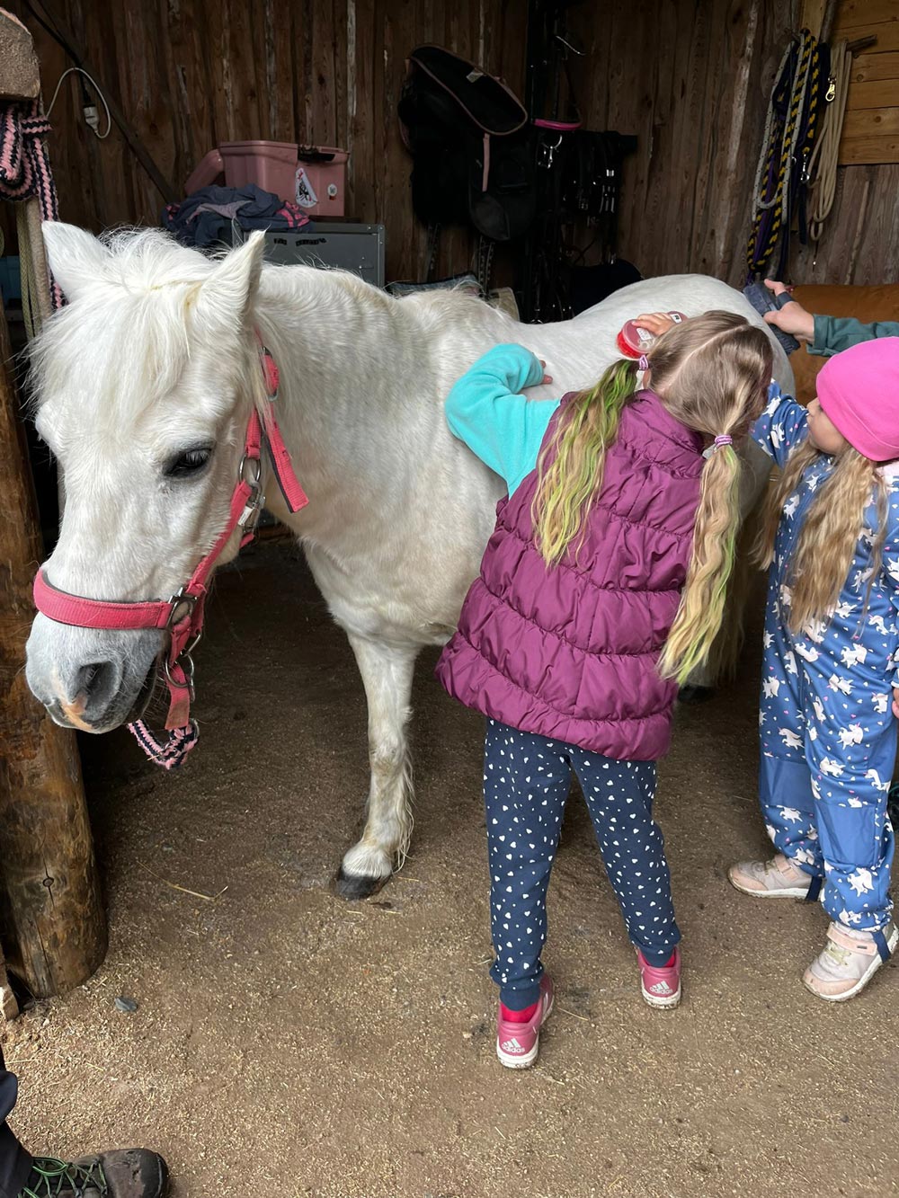 Pony 1