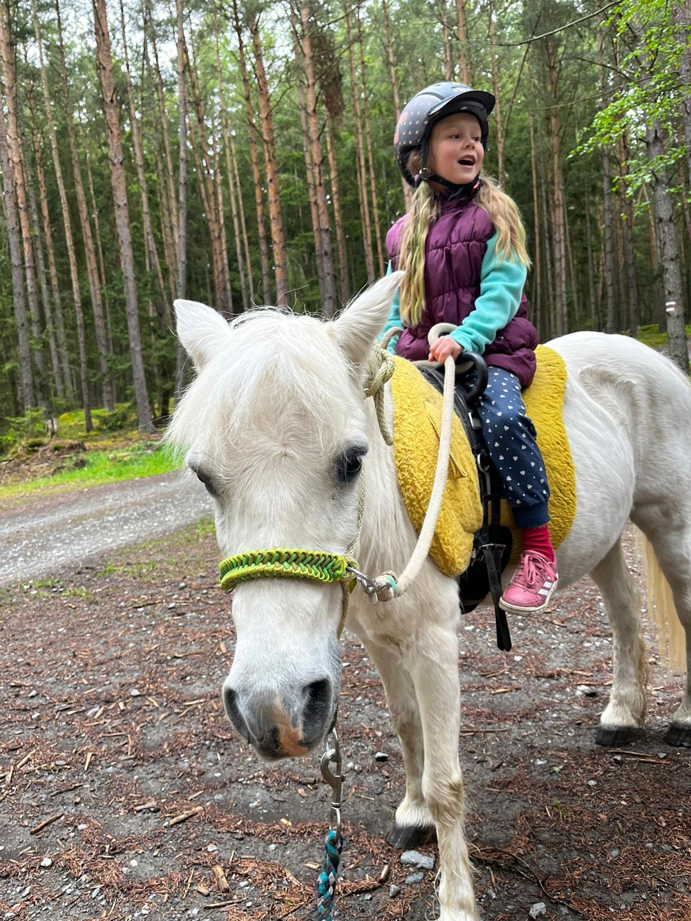 Pony 2