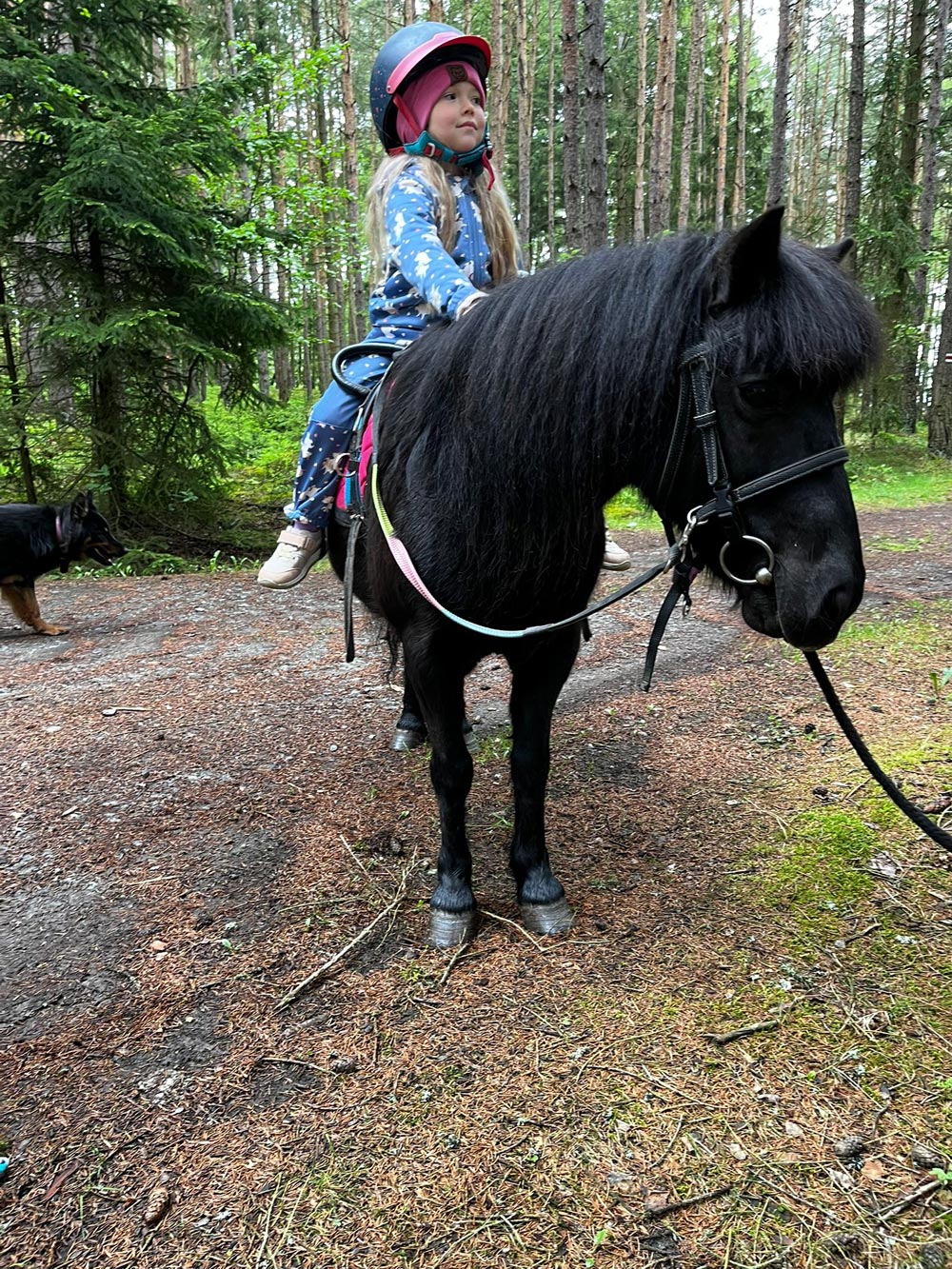 Pony 4